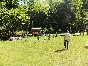 Dzień Rodziny, rajd szkolny - 04dbbaea41503952e341e457be9d10ce656779f3.jpeg