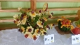 Dzień Zdrowej Żywności - 30fc127d1907255915cfa15180b305026932c061.jpeg