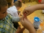 Dzień Rodziny 2014 - 5af4d82f67aa0e7164a72fed7fe38c635f1430ee.jpeg
