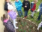 Pielęgnacja ogródka szkolnego - f8039a270a60a4c5e298d55167b2424766e36a84.jpeg