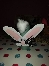 Kl. I - kl--i_12_5eb22917dcf62.jpeg